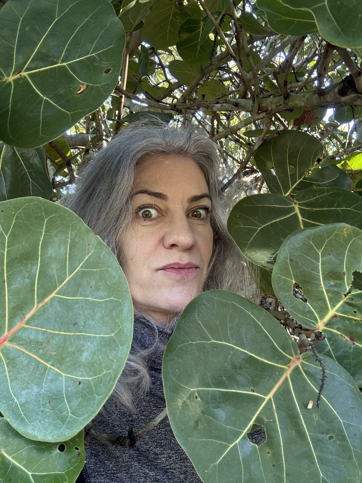Elizabeth Doud
